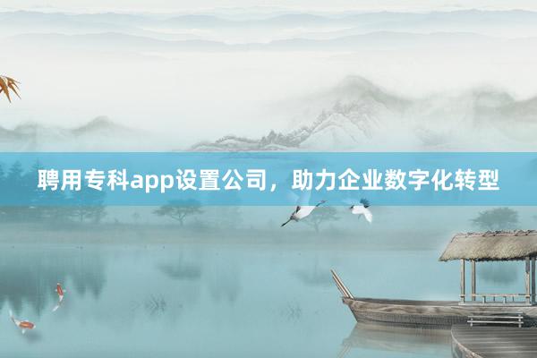 聘用专科app设置公司，助力企业数字化转型
